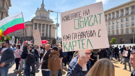 В кадър: Служители на "ДаллБогг Живот и Здраве" протестират пред МС