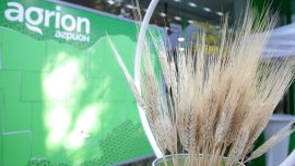 Агрион предлага земеделски земи под наем и аренда в различни региони на страната