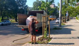 БАБХ спря внос на рекорден брой растения 