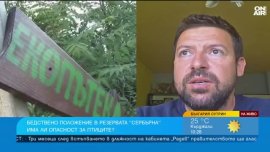 &ldquo;Сребърна&ldquo; на критичния минимум: Пеликаните отказват да гнездят