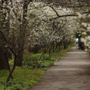 Времето се обръща утре: чакат ни валежи, на места и градушки