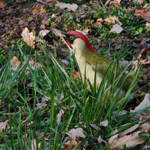 Слънчево и топло ще е днес, температурите ще са до 18&deg;