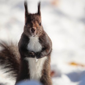 Времето утре:  Валежите почти навсякъде ще спират