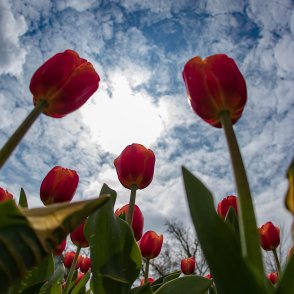 Очаква ни слънчев уикенд, градусите до 15