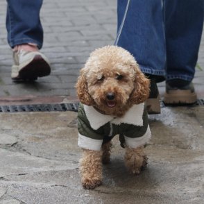 Облачно време в сряда, в следобедните часове ще превали