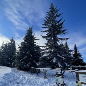 Кучешки студ ни очаква през януари: До минус 18