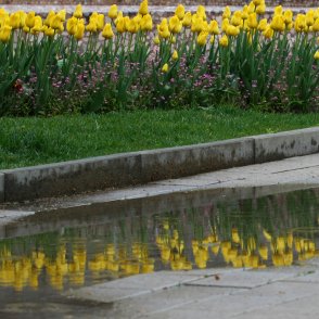 Западният вятър се усилва утре, температурите до 20&deg;