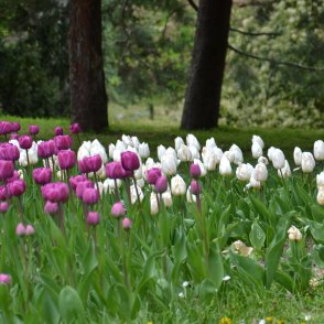 Слънчево ще е утре, сутринта на отделни места са възможни слани