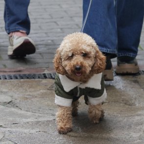 Идва студен въздух утре, през нощта дъждът ще се примесва със сняг