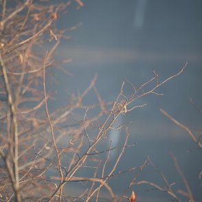 Облачно и мъгливо ще е днес в равнините и котловините