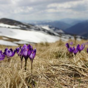 Слънчево и още по-топло ще е днес, в планините дъжд