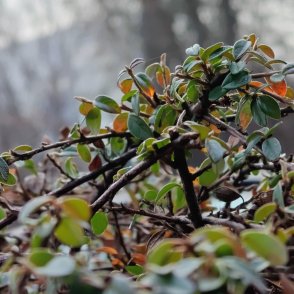 Утре ще духа бурен вятър и ще нахлува студен въздух