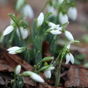 Температурите тръгват нагоре, валежи от дъжд започват утре