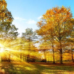 Днес слънчево и тихо, идеално за излет