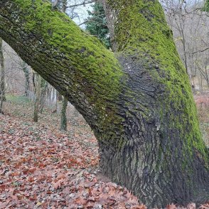 Мъглива събота в равнини и котловини, в останалата част ще бъде слънчево