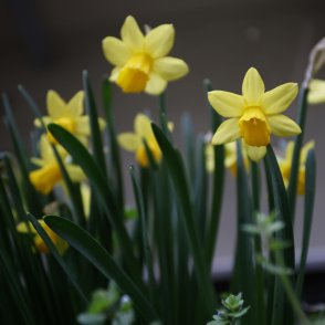Времето без промяна утре - облачно, студено, дъждовно