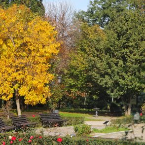 Очаква ни слънчев уикенд, утре градусите до 24