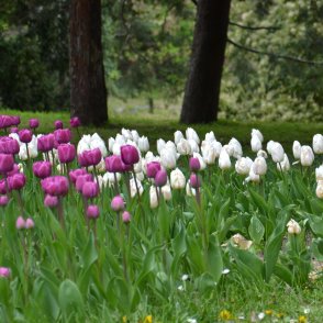 Слънцето ще се показва утре, температурите до 16&deg;