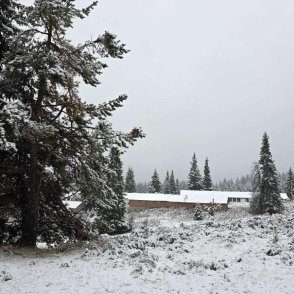 Снежна Коледа в Северна България и по пътищата, на останалите места ще вали дъжд