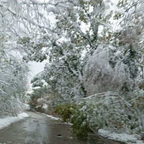 Времето днес: Студ, минусови температури и вятър