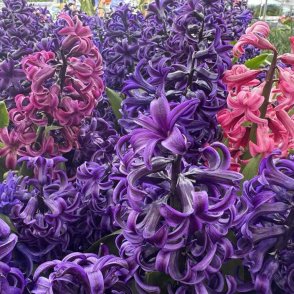 Времето утре: Ще е слънчево с температури до 20&deg;