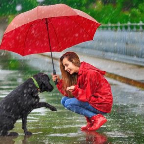 Днес облачно и по-топло, привечер идва дъждът