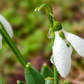 Какво ще е времето в празничния ден? 