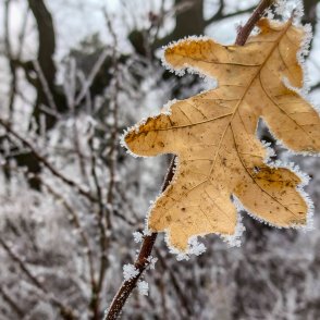 И утре ще е студено, но валежите спират