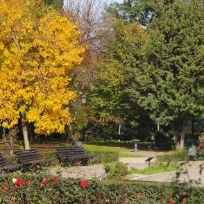 Времето утре: Приятно, градусите до 27