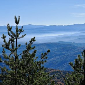 Времето днес: Слънчево, градусите до 15