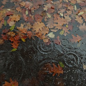 Ще вали днес, температурите ще са до 13° - 18°