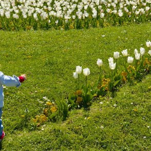 Утре ще бъде слънчево, но на места ще вали с гръмотевици