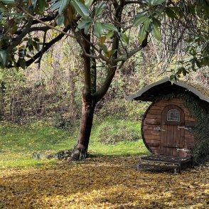 Сутрешни мъгли ни чакат във вторник, времето през деня – тихо и приятно