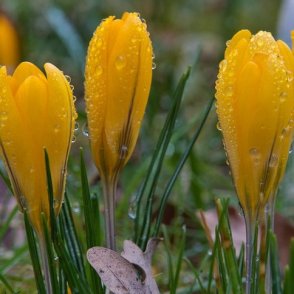 Облачно време и утре, на места ще превалява дъжд