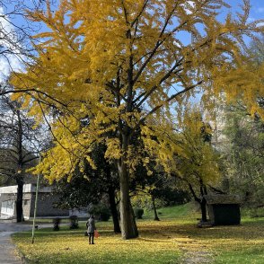 Облачно и тихо време в сряда, сутринта в низините ще има мъгли