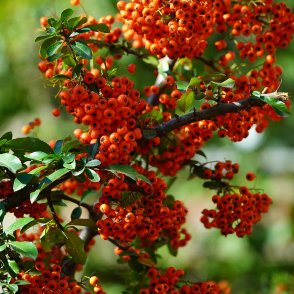 Слънчево ще е днес, температурите ще са до 22°