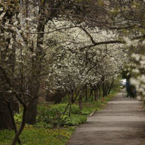 Времето утре: Сутрешни слани, облаци и дъжд през деня