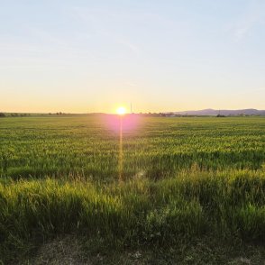 Слънчево ще е днес, ще превали само на места в планините