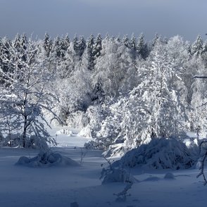 Времето утре: Затопля се, къде ще вали сняг?