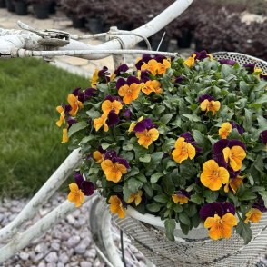 Слънчево ще е утре над по-голямата част от страната 