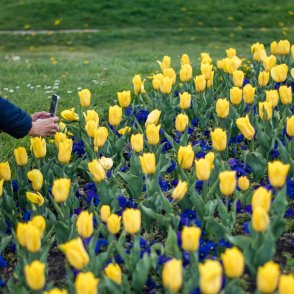 Времето днес: Последен ден слънчево, идват валежи