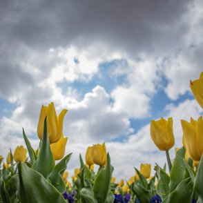 Силен вятър утре, но градусите се покачват