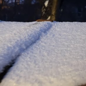 Времето днес: жълт и оранжев код за снеговалеж и силен вятър