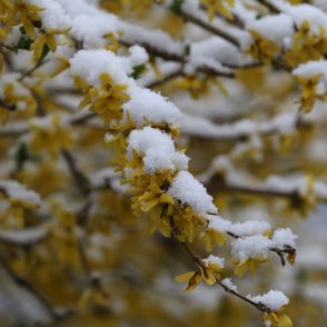 Времето утре: Ветровито, облачно с валежи от дъжд и сняг