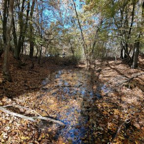 Слънчева събота с температури до 18 градуса
