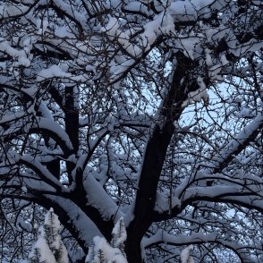 Времето днес: Мразовита сутрин, през деня ще се затопли