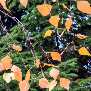 Слънчево ще е днес, с температури до 6&deg;