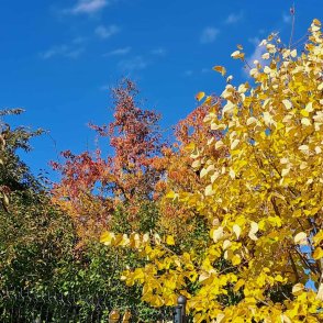 Проф. Рачев: Дъждовете спират, времето ще е хубаво за ваканцията на децата