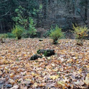 Студ в събота, валежите продължават на много места