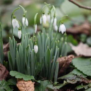 Денят започва със слънце, следобед отново ще завали дъжд